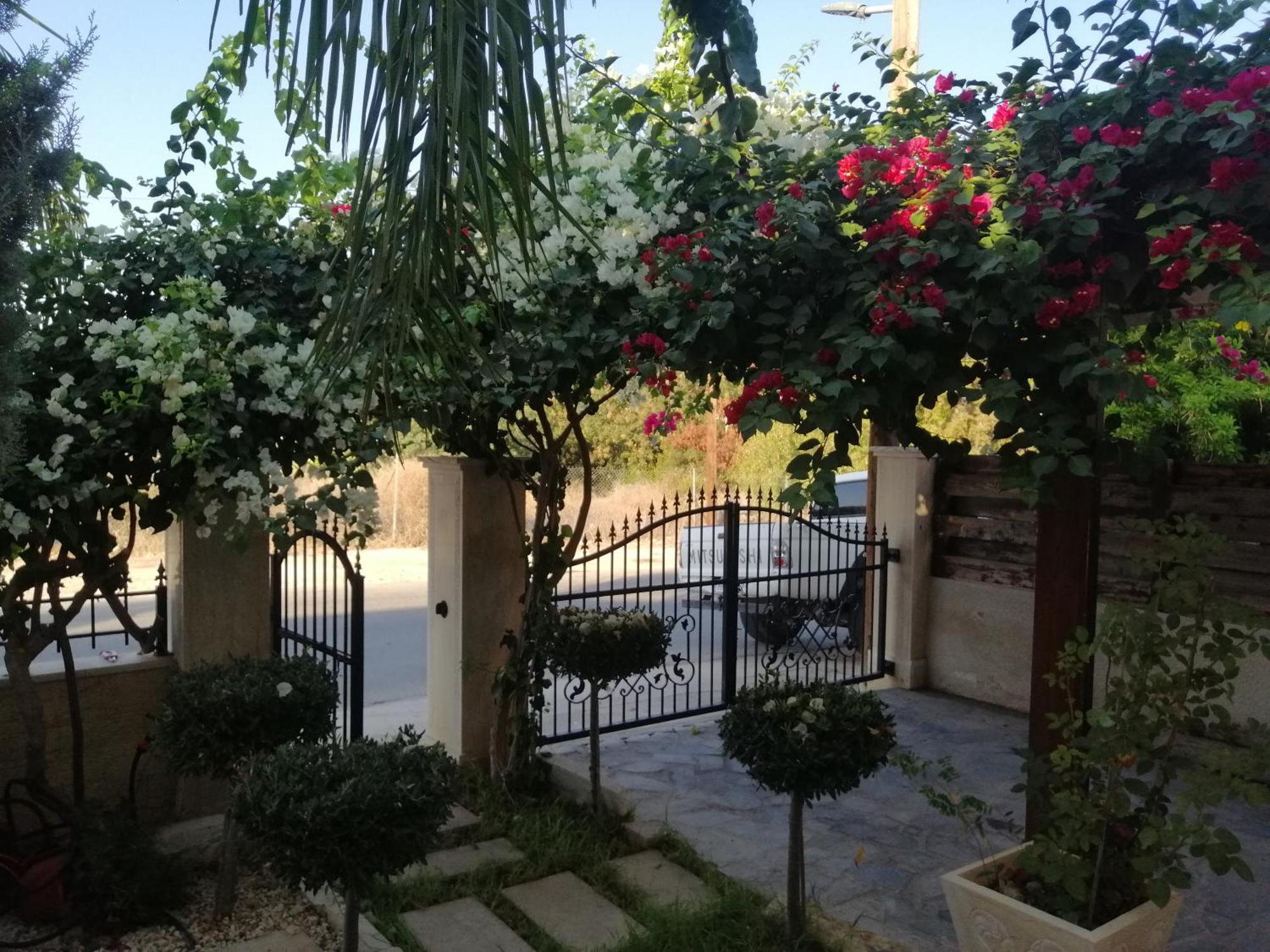 Villa Myria Pafos Quarto foto